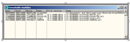 OllyExecutableWindow