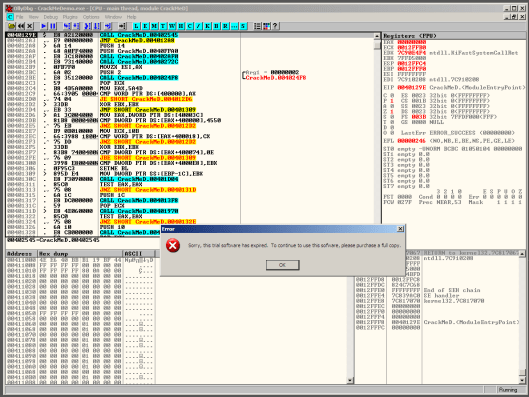 Figure 16: Running the debuggee